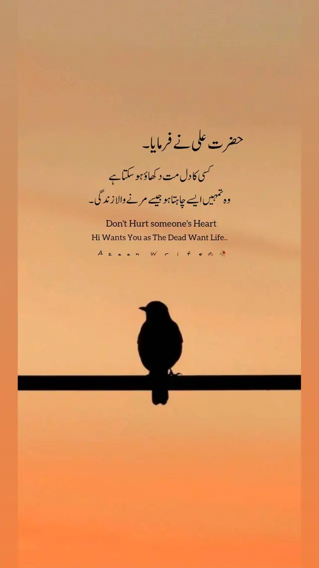 kisi ka dil mat dakhao ho skta wo Ap k sath jeena chahta ho..😔🖇️✨✍️🥀 #jummamubarak #Plzzz #plzzz_saport_me #viral #viraltiktokvideo #CapCut #viraltiktok #cup #viwes #capcut #foryoupage #viralvideo #viwesproblem #unfreezemyacount #foryou 