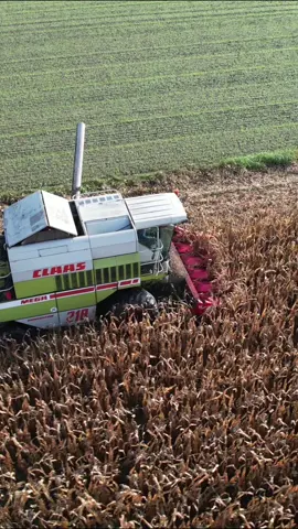#newholland #claas #ruramusiyebać #horsch #rolmako #kukurydza #ogieńnatłoki #farm #agriculture 