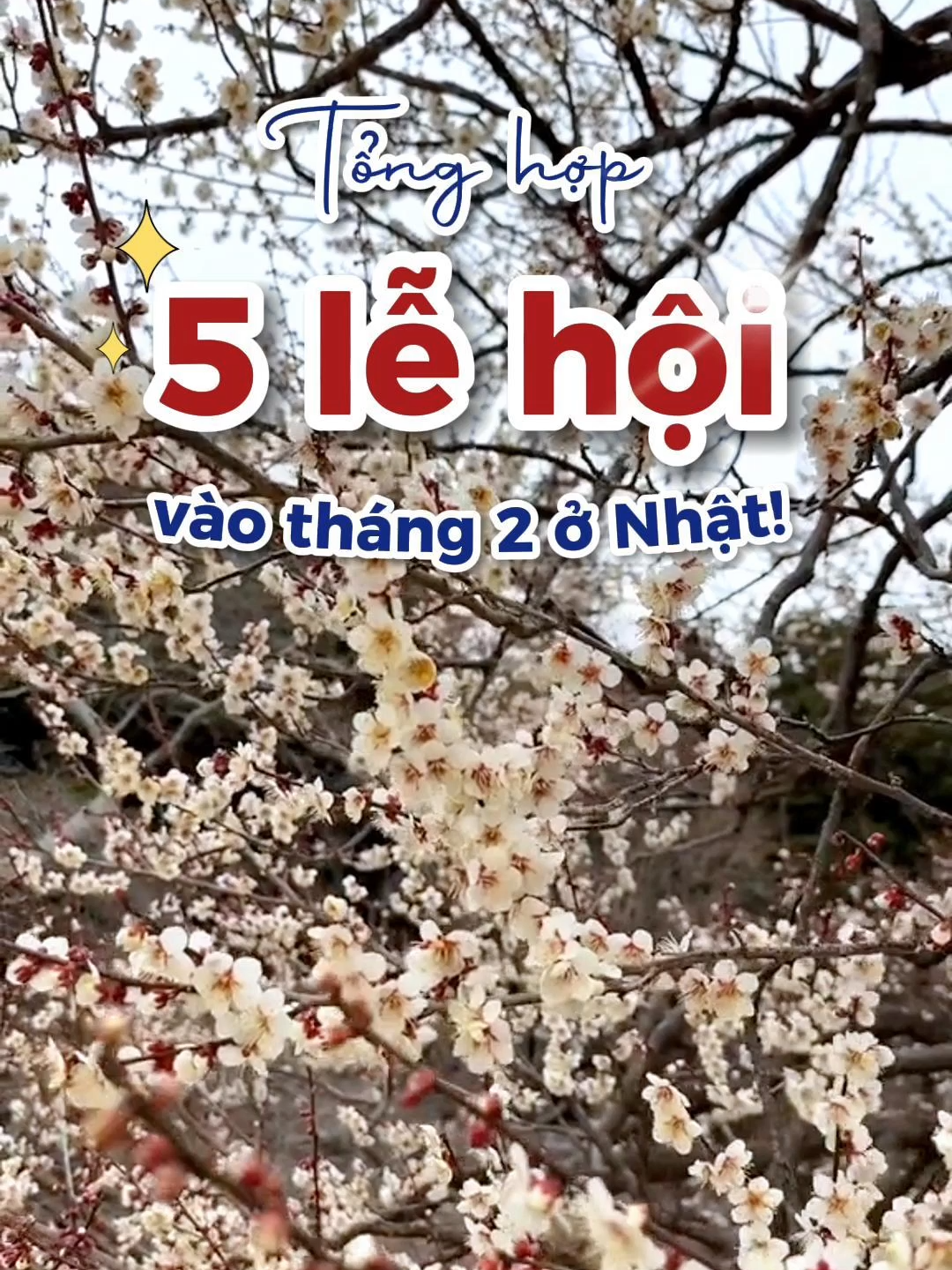 Tháng 2 này tại Nhật Bản có gì hot? Chúng mình đã tổng hợp 5 lễ hội nổi bật được tổ chức vào tháng 2 này, hãy rủ bạn bè đi check-in nhé!!! #goemon #goemonvietnam #nhatban #japan  #thanhthoiluottet #長崎  #nagasaki #Namahage #Hirosaki #弘前 #Kawazu #Ibaraki #茨城 #hoaanhdao