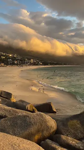 one week in cape town 🇿🇦 #capetown #southafrica 