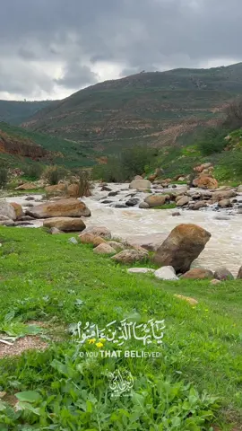 اللهم صلِ على محمد🌹 #اكسبلوررررررر #مناظر_طبيعيه #أمطار_أجواء_روووعه #مكشات #اللهم #اللهم_صل_على_نبينا_محمد #يوم_الجمعه #سورة_الكهف #الاردن🇯🇴 #عجلون_عمان_الاردن 