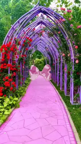 #🔶️🌸Ghép cảnh đẹp