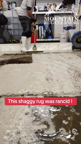 satisfying cleaning of a shaggy, rancid rug. #rugwashing #carpetcleaning #restoration #satysfying #fyp 