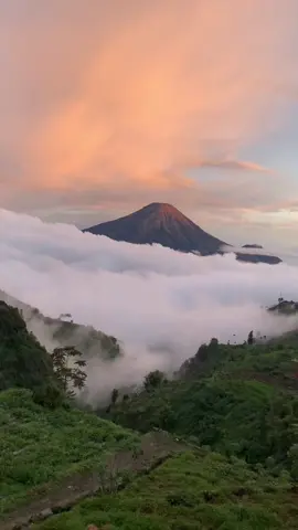 Sorenya Dieng setelah hujan seharian😍 . Dokumentasi tanggal 2 Februari 2024 📍jalandieng #fypdongggggggg #fyp #fypppppppppppppp #dieng #diengatasawan 