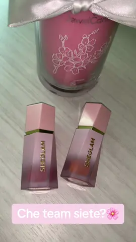 Vi aspetto nei commenti 🌸🎀 #neiperte #viral #sheglam #blush #pink #peach #team #lowcost #adoro #team 