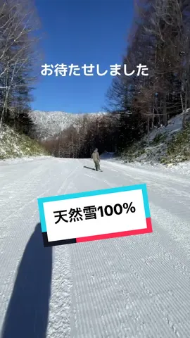#天然雪 100%のレッドコース #ヒカゲ もあって夕方まで雪質ヤバイ #パーク を抜けたら、右、右、右🫱 #丸沼高原 #丸沼高原スキー場 #powder #パウダー #スノボ #スキー #スノボ女子 #イチ壁 #グラトリ #スタークラブ 