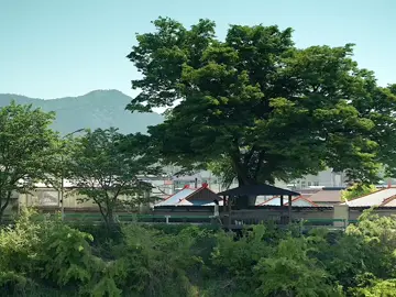 summer strike (2022) #kdrama#kdramaedit#thebeautyof#summerstrike#edit#kimseolhyun#imsiwan#shineunsoo#filmedit#filmtok#movieedit#asiancinema#sageflm#fyp#아무것도하고싶지않아 