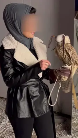 يا مبرقع الطير خل الطير و عيونه 🤎🦅 #CapCut #الكويت🇰🇼 #explor #kuwait #fyp #اغوى_كويتيين🇰🇼 #viral #اكسبلور #الشعب_الصيني_ماله_حل😂😂 #fypシ #صقر #foryou #مالي_خلق_احط_هاشتاقات 