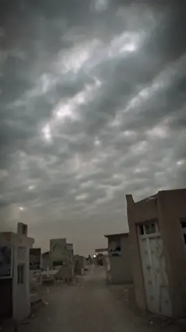 اللهم ارحم من حنت إليهم القلوب ، تاقت إليهم الأرواح.. ربنا اجمعنا بهم تحت ظلك .💔  . . . #cutecat #fypシ゚viral #fyb #fypシ゚ #fyp #فقيدي #ابي #قوالب_كاب_كات #اكسبلورر #ابو_شاهين 