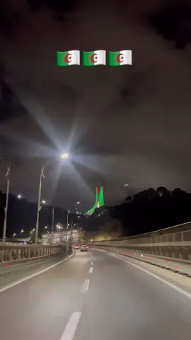 Algerie mon amour ❤️🇩🇿 #algerie #algeria #algerie_mon_amour❤❤❤ #algerie_mon_amour🇩🇿♥️♥️🇩🇿 #algerie🇩🇿 #dz #dzair #djazair #الجزائر #الجزائر🇩🇿 #تيك_توك_عرب #ترند_تيك_توك  @Sid Ahmed 213 