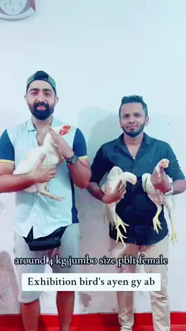 #@malik ibrar @BirdsZoo @Rana Moazzam @everyone @Agha Irfan Gul Khan @hopeland Fancy Birds @Hopeland Fancy Birds @hopelandfancybirds @Hopeland @pakistan_birds @UAE PARROT PEAK LONG TAIL #srilankan_tik_tok🇱🇰 #trand #viral #fypシ #veiws #foryou #1millionaudition #pakistantiktok #pakistanzindabad🇵🇰🇵🇰🇵🇰🇵🇰 #parrotbeakaseel 