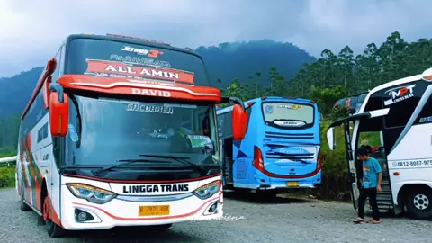 pesona corong mati satu dari po #linggatrans #alamin #basuri #busmania #kodefypbus #buspariwisata #basuriv3 #waywin #fyp #fyppppppppppppppppppppppp #xycba 