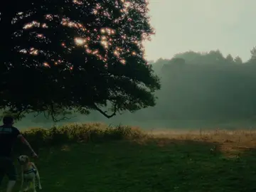 you feel like home 😌 Audio: @L E N A  #quotes #Love #cinematography 