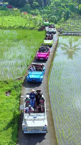 Cinderella lagi liburan naik VW keliling Desa Wisata Borobudur Yang mau reservasi VW / dokumentasi trip 083867190765 #vwborobudurwisata #vwborobudur #borobudur #wisatamagelang #magelanghitz #magelang #viral #fyp 