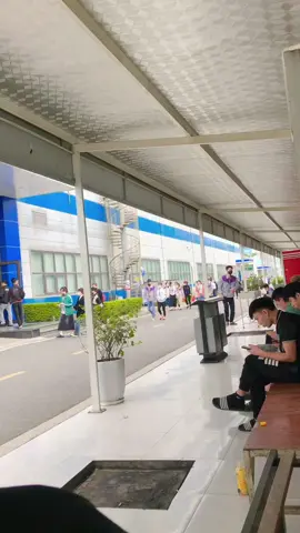 ngày cuối đi làm tại CTY-LUXSHARE-ICT chúc tất cả mọi ngừoi trong cty về quê ăn tết    vui vẻ...vvv  nha hẹn mọi người ngày sớm nhất #gaixinhcty #bacgiang98 #luxsharequangchau2 #luxshareict #xuhuongtiktok2023 