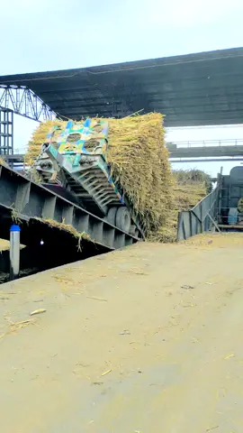 Ramzan sugar mils🦅#2021makeawish #viraltiktokvideo🥰🥰🥰🥰🥰🥰🥰🥰🥰🥰💯💯💘💘💘💘 