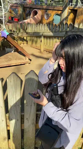 吃菜配肉沒毛病 #卡比巴拉 #動物 #capybara 