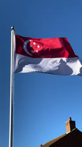Flag if #singapore  #flag #flags #flagwaving #flagsinfocus #funwithflags #vexillology #vexillologist 