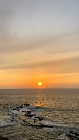 Te asombrarías de saber que aún te quiero..🎶 #laúnica #maeloruiz #parati #foryou #Love #paratii #trending #viral #fyp #funny #tiktok #videolyrics #rolas #lyrics #lyricsvideo #song #musicvideo #video #greenscreen #fypシ #fypシ゚viral #letrasdecanciones #xyzbca #lyricedits #music #cancionesparahistorias #cancionesparaestados #letras #rolas #music #letras #tiktokviral #sad #sadsong #sadstory #sadvibes #latin #salsaromantica #salsabaul #salsa #salsasensual #salsita #laúnicamaeloruiz #launica #launicamaeloruiz #launicasalsa #maeloruiz🎶 #maeloruiz❤️ #maeloruiz♡♡♡ #maeloruizilove #atardeceresperfectos #atardecereshermosos #playa #sunset #sunsetlover #sunsetplaya #atardecer #atardeceres #atardeceresbonitos #atardeceresmagicos #atardecerhermoso #sunsetbeach #sunsetvibes #atardeceresenlaplaya #atardeceresenlaplaya🌊😍🌅 #atardeceresenlaplaya🌊 #atardeceresenlaplaya🏖️☀️😍 #atardeceresenlaplayadeeuropa🇪🇦❤ #atardeceresenlaplaya🌇 #atardeceresenlaplayalomejor #atardeceresenlaplaya🌅❤️✨ #playaatardeceres #atardecerenlaplaya 