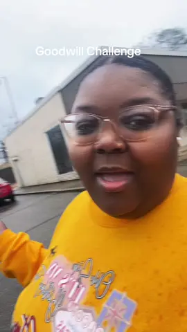 Stay tuned for Part 2 😂 #goodwillfinds #goodwillhunting #thriftshop #goodwillchallenge 