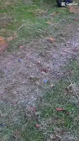 Đam Mê🫰#y15zrvietnam #64_vinhlong #2024 