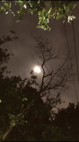 #CapCut #lyrics #moon #tothebone #fyp #fyppppppppppppppppppppppp #foryou #foryoupage 