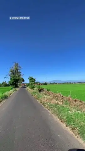 Pemandangan indah pagi tadi 🌿🌿 . . sc/ig.alanwck_ #kendal #kendalhariini #kendalstoryy #fypシ #fyp #fy 