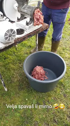 #veljanevolja #strah #meso #kobaja #cevapi #serbija #rs #bih #banjaluka #fypシ゚viral #virall #fyp 