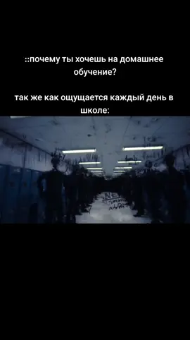#щитпост 