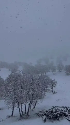 بەیادی بەفرەکەی پارەوە🥲 من ئاشقی زستان و بەفرم🥺 ئێوە ئەمساڵ بەفرتان بینی؟؟؟ • • • • • • #snow #snowday #snowwhite #بەفر #بەفربارین☃️☃️🌨🌨😍 #کوردستان #کورد #سلیمانیه #قەرەداغ #قەرەداخ #زستان #wenter #video #photography #photooftheday #photo #active #fyp #fypシ #fypage #viral #rells #reelsinstagram #insta #🤍 #❄️ #🌨 