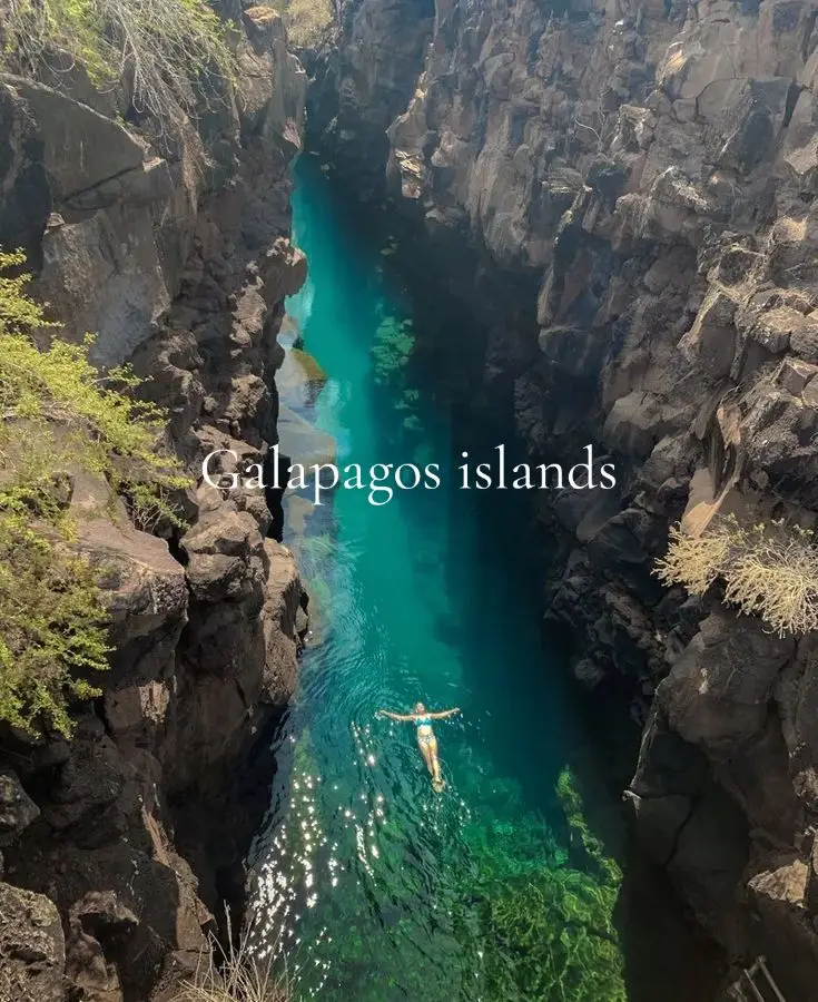 🐢✨ Exploring the enchanting Galápagos Islands – where every step feels like a journey through time! 🌎🌿 . . . . . #galapagos #wildlife #travel #traveltok #traveltiktok #galapagosisland #explorenature #adventure #vacation #trip #travelling #wanderlust #nature #traveling  #travelblogger #travelphotography #travel #wildlifephotography #hikingvacation #mythical 