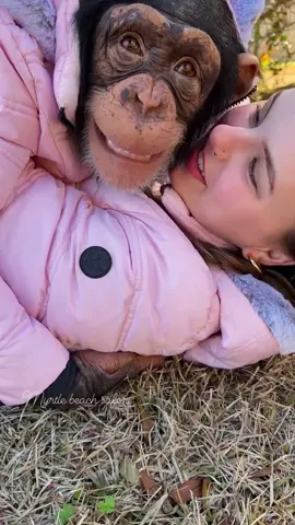Mommy and me jackets with my little one🩷🎀 • • • #Chimps #chimpanzee #chimpanzeesoftiktok #chimps #apes #primatesoftiktok #cuteanimals #animalsaddict #animals #explorepage #animals #animalsoftiktok #animallover #monkey #monkeys #monkeyseemonkeydo #monkeysoftiktok #monkeylove #riolilly #tara #rioandtara #pink #mommyandme 