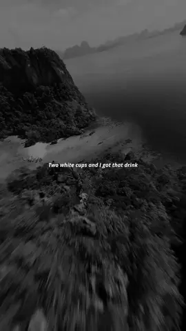 drake - fluffing a duck #darkvidez #fyp #drake #trustissues #fluffingaduck #dark #foryou #spedup #lyrics #edit #fürdich #trend #viral #mountain