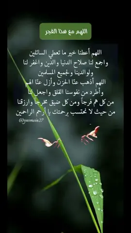 #دعاء الفجر #ادعية فجرية #قرآن # #القران_الكريم #ساعة استجابة # #تلاوات_خاشعة #ادعية _صباحية# #ادعية _الصباح #أذكار _الصباح # #احمد _النفيس #foryou #اللهم آمين #