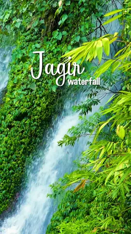 Salah satu air terjun yang cakep dan masi asri di Banyuwangi 😊🌧️ . #wisata #wisataalam #banyuwangi #jagir #airterjun #waterfall #jagirwaterfall #airterjunjagir 