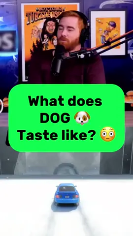 What does dog taste like? 🤨 #badfriends #badfriendspod #badfriendspodcast #bobbylee #andrewsantino #fyp #funny 
