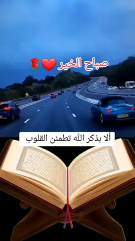 #القران_الكريم_راحه_نفسية😍🕋 #القاري_عامر_الكاظمي #ماشاءالله_تبارك_الله #ألا_بذكر_الله_تطمئن_القلوب❤️🤲 #ياالله💚ياالله💚ياالله💚ياالله #استقفرالله #سبحان_اللہ #oops_alhamdulelah #لاالەالااللە #الله_اكبر #لاالله_الا_الله_محمد_رسول_الله💗 #سبحان_الله_وبحمده_سبحان_الله_العظيم #استقفرالله_العظيم_واتوووب_اليه #اللهم_صل_على_محمد_وآل_محمد #fypシ゚viral #foryou #viral #viralvideo #keşfet #foryoupage 