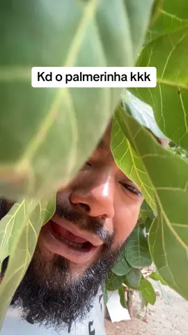 Palmerinha kkkk #saopaulo #palmeiras #futebol #meme #viral 