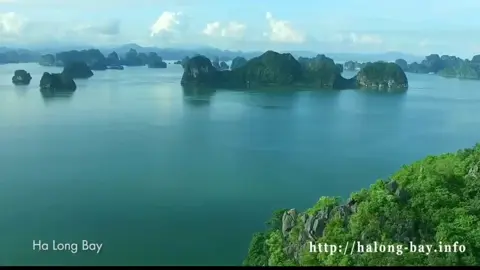 Vịnh Hạ Long thuộc Thành phố Hạ Long tỉnh Quảng Ninh. VHL có khoảng 2000 hòn đảo lớn nhỏ. Năm 1994 Vịnh Hạ Long được UNESCO công nhận là di sản thiên nhiên thế giới #VietNam #QuangNinh #VinhHaLong 