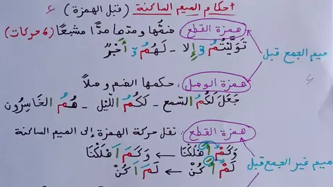#احكام_الميم_الساكنة #رواية_ورش_عن_نافع #التعليم_القرآني #حفظ_القرآن #احكام_التجويد #اللهم_صل_وسلم_على_نبينا_محمد#الاسلام_ديننا_والجنه_طريقنا #الجزائر_تونس_المغرب🇩🇿🇲🇦🇹🇳 #fypシ #رجب #foryou 