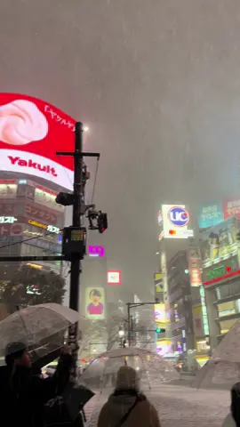 Its finally snowing in Japan!!! #japan #japantiktok #japantravel #japanthings #tokyo #shibuya #tokyonight #snowing #snow #snowfall #travel 