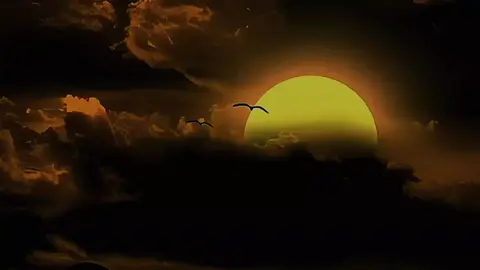 Kammeme by Gerald kiwewa #lyricsvideo #fypシ゚viral #tiktokuganda🇺🇬🇺🇬🇺🇬 