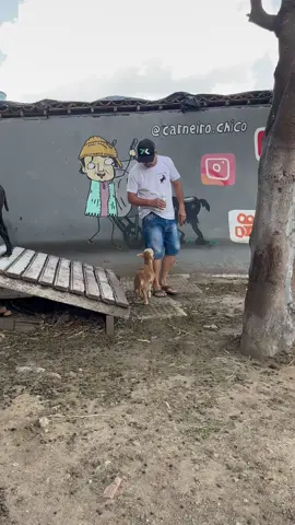 O retorno de Juliano 