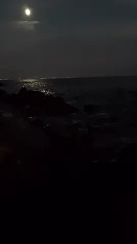 ليتني عن موتت الغالي فديته.. ليت عمري كمل ايامه وزاد💔 #محمد_بن_غرمان #اليتم #ان_بكيت_اليتم #شيلات_حزينه #الفقد #الفراق #فقيدي #فقيدتي #امي #اخي 