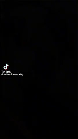 cô bé dắt chó bigbull đi dạo🤯🤯🤯🤯🤯