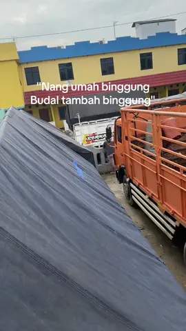 info info #fyp #masukberanda #fypシ゚viral #drivermuda #storytruck #hastangank 