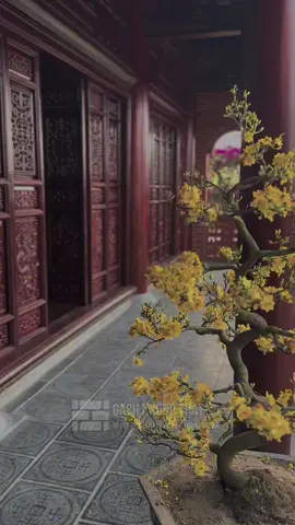 Gạch xây không trát Viglacera Hạ Long tại công trình ▫️0888 288 333 ▫️www.GachKhongTrat.com ▫️#Gạch_không_trát #GachKhongTrat #Gach_Viglacera_Ha_Long 