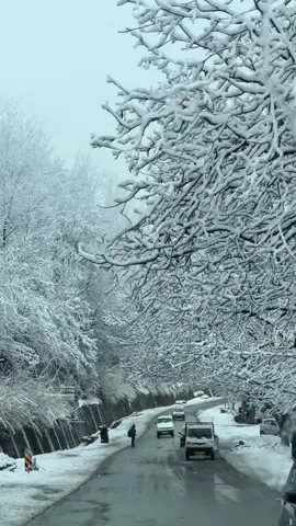 This is KASHMIR! Unbelievable ❄️ #snow #snowfall #winter #sonamarg #gulmarg #pahalgam #kashmir #wintertrip #fy #fyp #fyppppppppppppppppppppppp 