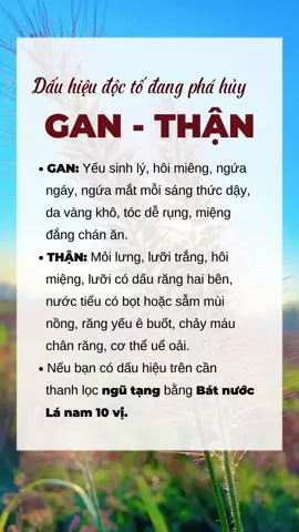 Dấu hiệu độc tố phá huỷ Gan - Thận #meodangian #thuocnamduoc #huyenbiduocpham #meohay🇻🇳🇧🇷 #baithuocdangian #baithuochay #xuhuong 