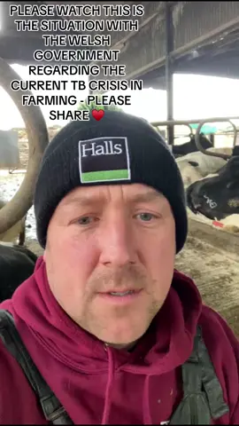 Please watch this video on the TB crisis there currently is in our area - this is crippling Farmers and unnecessary actions are forced apon them by the Welsh Government. If you appreciate the food on your table please please share this video to raise awareness of this ever growing issue.  #tb #cows #britishfarming #rurallife #cowsoftiktok #backbritishfarming #saveourfarmers #pleasegoviral #pleaseviral #fy #fypシ  @GoodMorningBritain @BBC News  @This Morning  @itvnews 